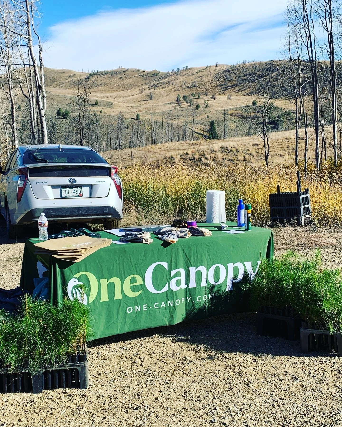 A OneCanopy stand set up on the land at C Lazy U Ranch.