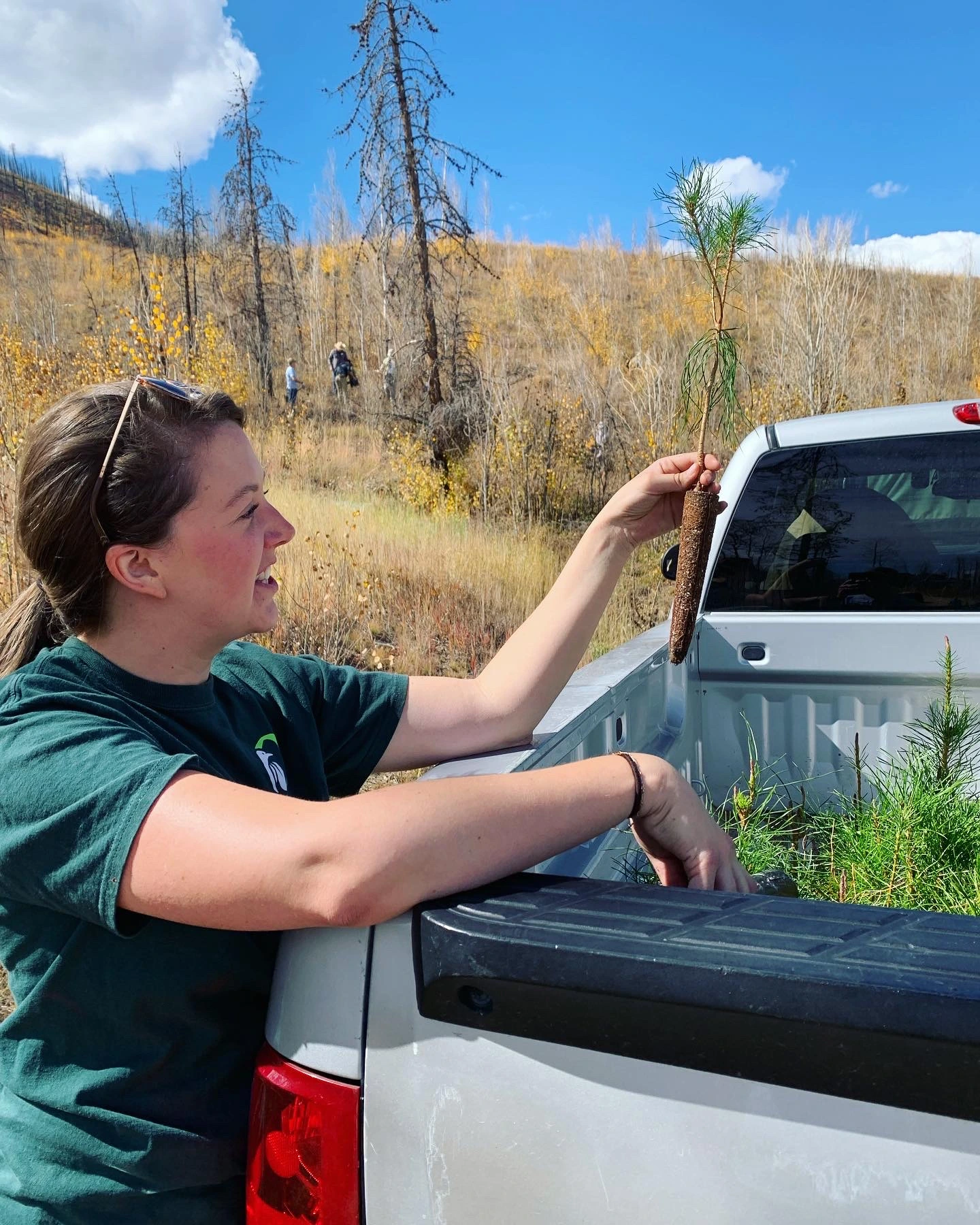 Community reforestation efforts at C Lazy U Ranch.